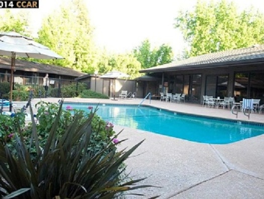 Pool and Spa Pool and Spa