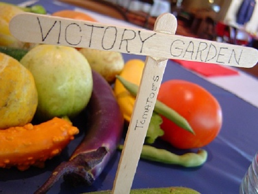 Raised Vegetable Beds Raised Vegetable Beds
